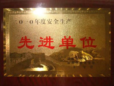 點(diǎn)擊查看詳細(xì)信息<br>標(biāo)題：2010年度安全生產(chǎn)先進(jìn)單位 閱讀次數(shù)：3201